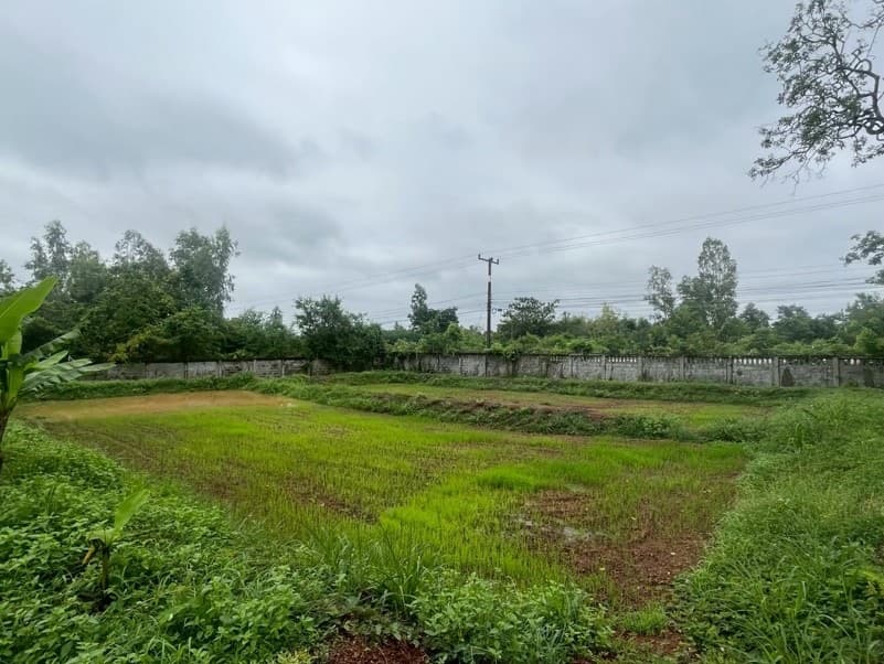 Open land inside the foundation wall